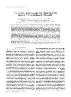interaction between organic and inorganic pollutants in the clay