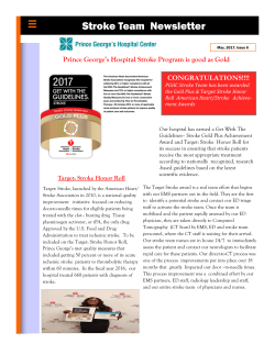 Stroke Team Newsletter