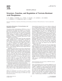 Structure, Function, and Regulation of Tartrate