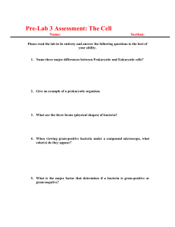 Lab 3. The Cell - retremblay.net
