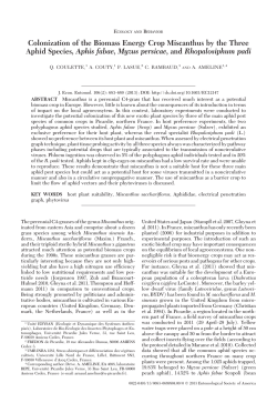 Colonization of the Biomass Energy Crop Miscanthus by the Three