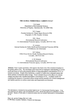The global terrestrial carbon cycle