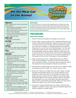 Animal Science Anywhere, Pin the Meat cut on