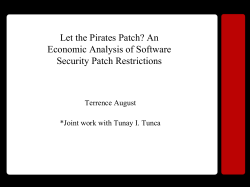 Piracy in the Software Industry