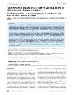 Predicting the Impact of Alternative Splicing on Plant