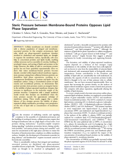 Steric Pressure between Membrane-Bound Proteins Opposes Lipid