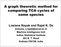 A graph theoretic method for comparing TCA cycles of