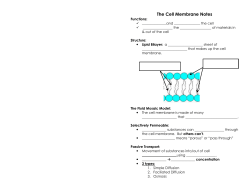 The Cell Membrane Notes - Hartsville High School