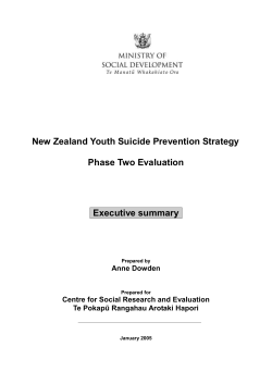 The New Zealand Youth Suicide Prevention Strategy