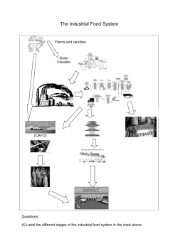 Industrial Food / Corn
