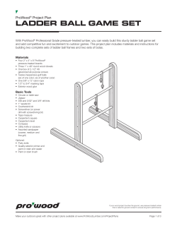 ladder ball game set