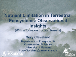 Multi-Element Regulation of the Tropical Forest Carbon Cycle
