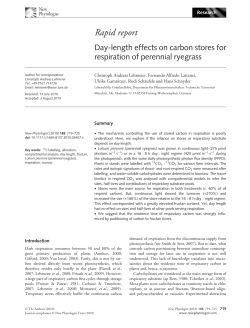 Daylength effects on carbon stores for respiration of perennial