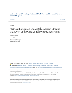 Nutrient Limitation and Uptake Rates in Streams and Rivers of the