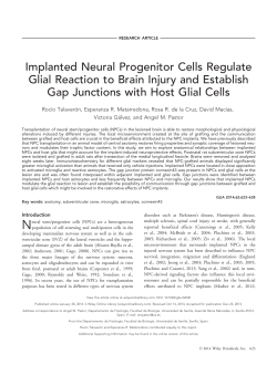 Implanted neural progenitor cells regulate glial reaction to brain