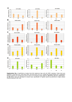 Supplementary Fig. 1. Quantification of protein levels after treatment