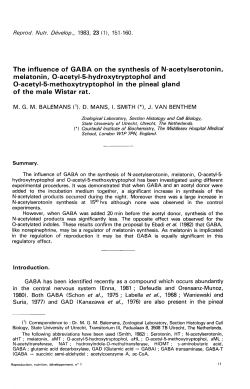 The influence of GABA on the synthesis of N