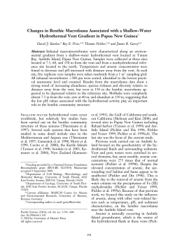Changes in Benthic Macrofauna Associated with a Shallow