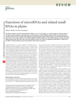 Functions of microRNAs and related small RNAs in plants