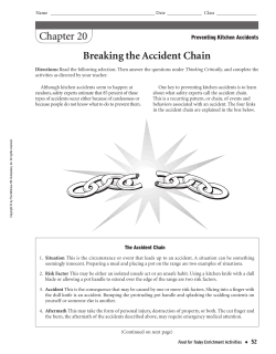 Chapter 20 Breaking the Accident Chain