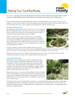 Making Your Yard RainReady