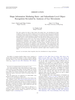 and Subordinate-Level Object Recognition Revealed by Analyses of