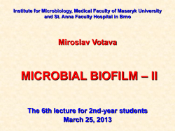 Architecture of biofilm I