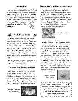 Discover Your Natural Heritage Maple Sugar Basics Make a Splash