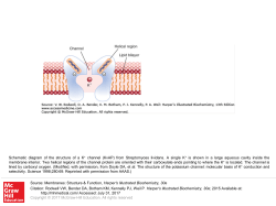 Slide 1 - AccessMedicine