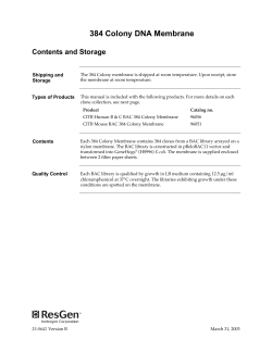 384 Colony DNA Membrane - Thermo Fisher Scientific