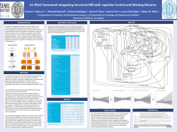 An RDoC framework integrating structural MRI with cognitive Control