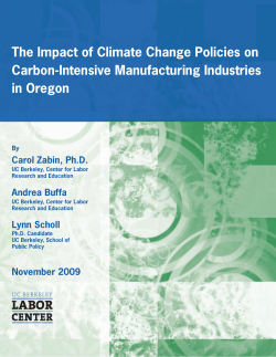 The Impact of Climate Change Policies on Carbon