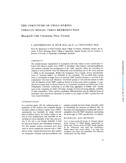 THE STRUCTURE OF CELLS DURING TOBACCO MOSAIC VIRUS