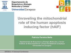 AIF - BIFI