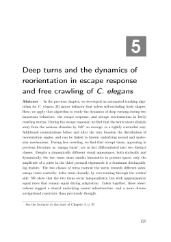 Deep turns and the dynamics of reorientation in escape response
