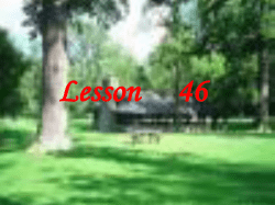 Lesson 46 1.冬眠(名) 2. 肺3.叹气4.签名5.狼(复)