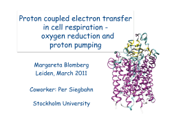 Proton coupled electron transfer in cell respiration