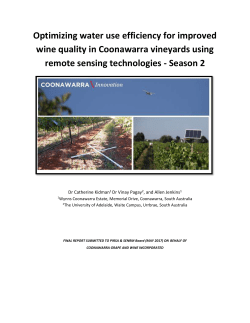 Optimizing water use efficiency for improved wine