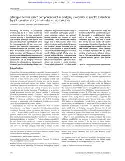 Multiple human serum components act as bridging molecules in