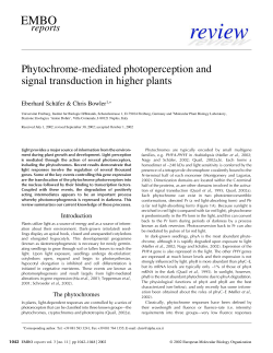 Phytochromemediated photoperception and signal transduction in