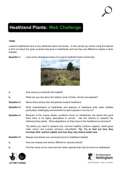 Heathland plants: web challenge