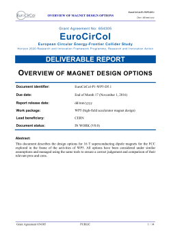 D5.1 Overview of magnet design options