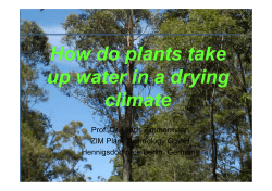 How do plants take up water in a drying climate