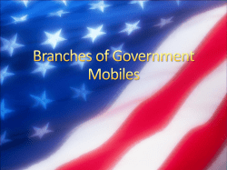 Branches of Government Mobiles