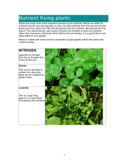 Nutrient fixing plants