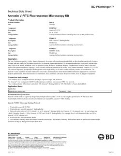Annexin V-FITC Fluorescence Microscopy