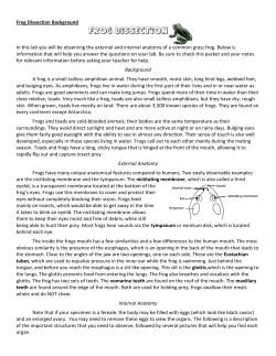 Frog Dissection Background In this lab you will be observing the