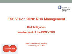 ESS Vision 2020 Strategic Risk Management