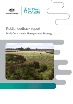 Public feedback report - Murray