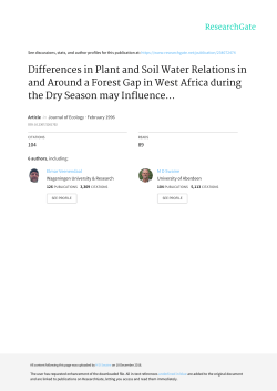 Differences in Plant and Soil Water Relations in and Around a Forest